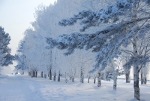 Использование биологически активных комплексов Артлайф в зимнее время года.